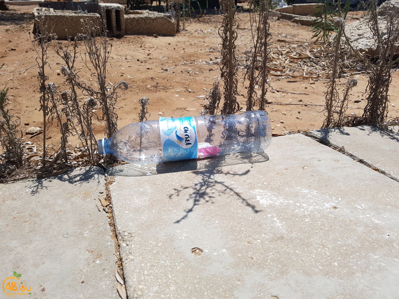 tasoo mabkqbara (3).jpg